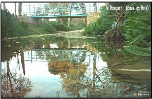 TELAGH LE BOSQUET SOUS LES BOIS